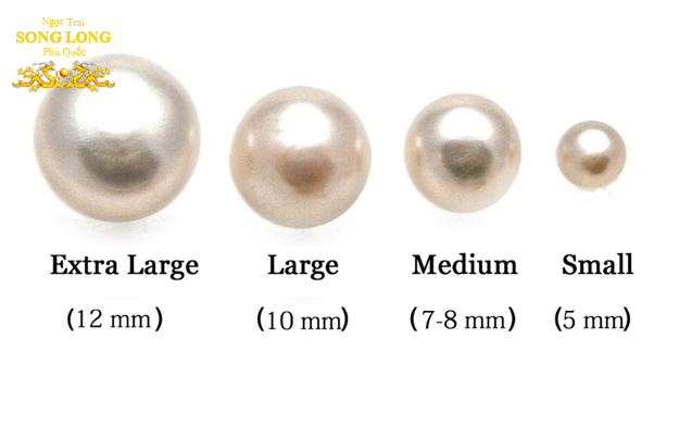 kich-thuoc-ngoc-trai